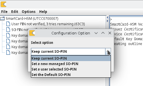 SO-PIN Options
