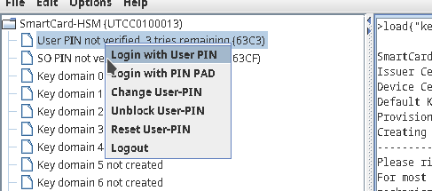 Login with PIN