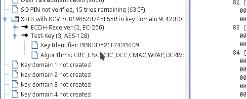 Unwrapped Key